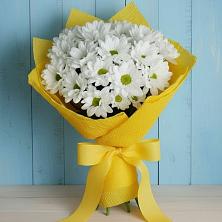 Букет цветов из:  Хризантемы в Будогощь