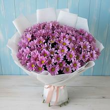 Букет цветов из:  Хризантемы в Будогощь