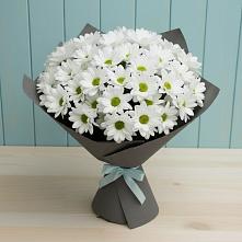 Букет цветов из:  Хризантемы #REPLACE_PRED# Будогощь