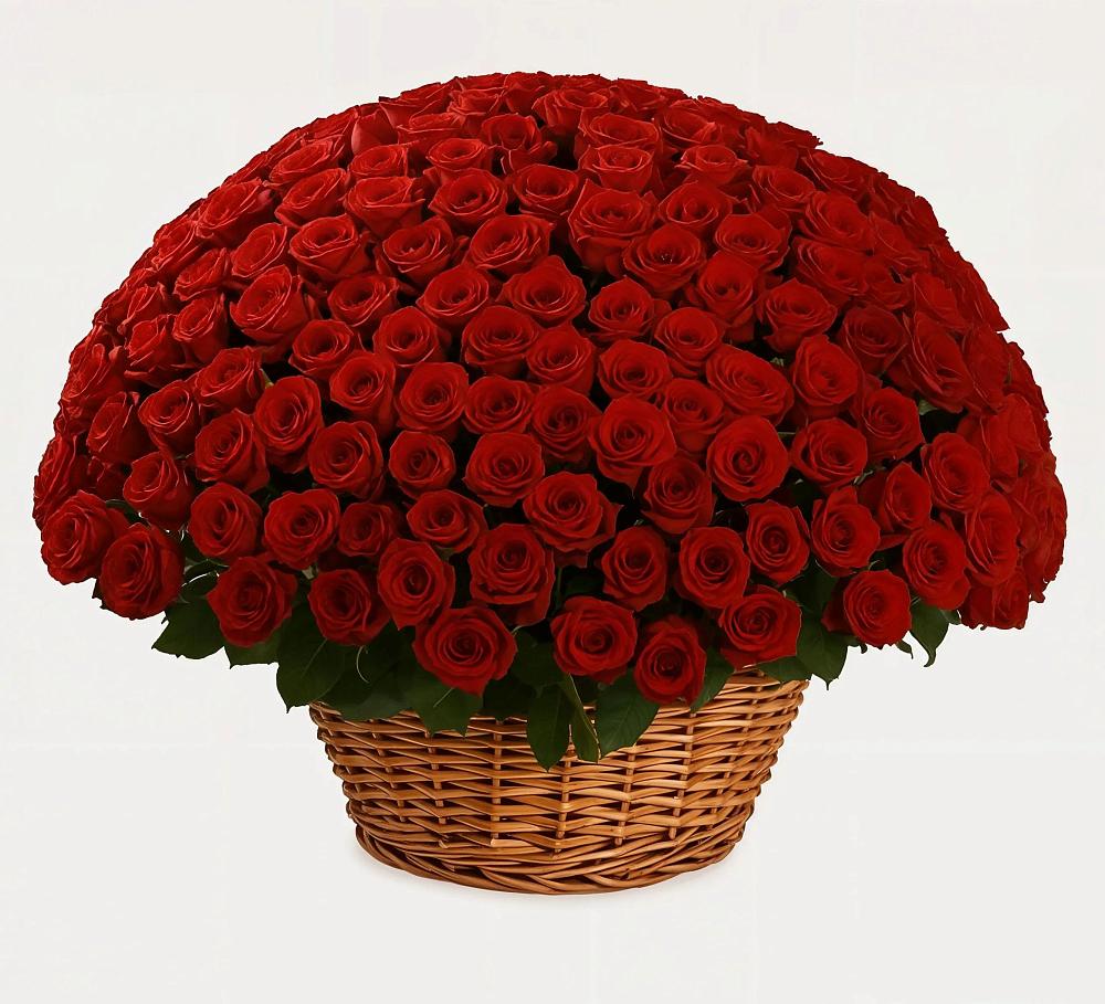 Премиум букет из: Розы в Будогощь