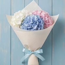 Букет цветов из:  Гортензия #REPLACE_PRED# Будогощь