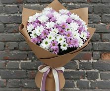 Букет цветов из:  Хризантемы #REPLACE_PRED# Будогощь