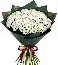 Букет цветов из:  Хризантемы #REPLACE_PRED# Будогощь