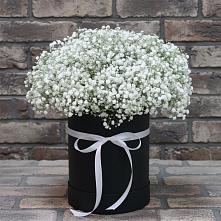 Цветочная композиция из Гипсофила в шляпной коробке в Будогощь