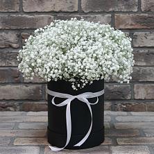 Цветочная композиция из Гипсофила в шляпной коробке в Будогощь