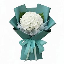 Букет цветов из:  Гортензия в Будогощь